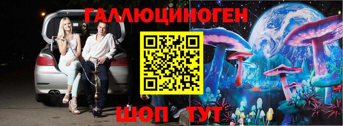 Галлюциногенные грибы Psilocybine cubensis Коркино