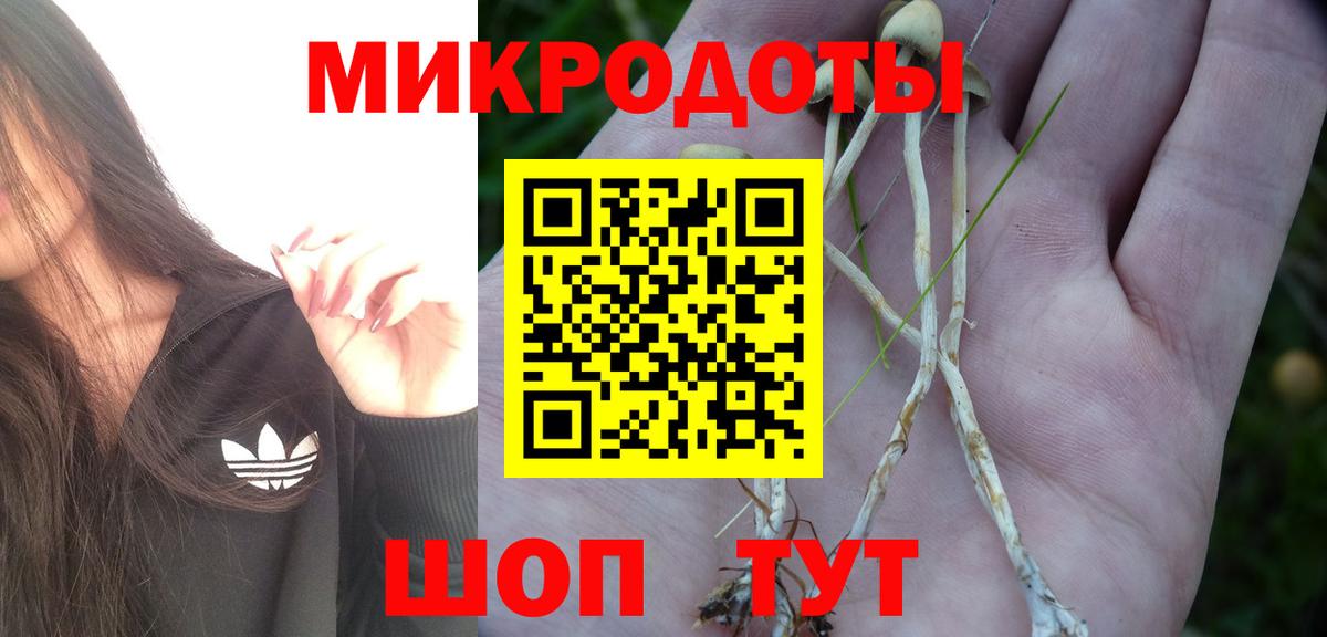 Коркино  Псилоцибиновые грибы Psilocybine cubensis  Вход с VPN  Галлюциногенные грибы мицелий 